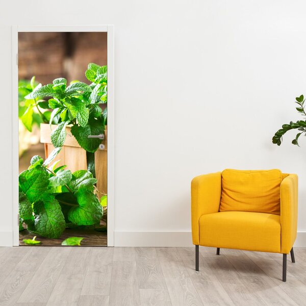 Fototapeta na dveře - Čerstvá máta (95x205cm)