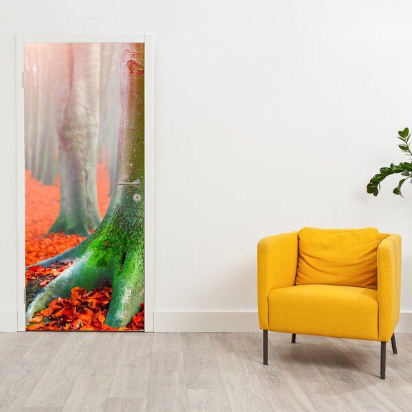 Fototapeta na dveře - Stromy (95x205cm)