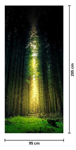Fototapeta na dveře - Temný les (95x205cm)