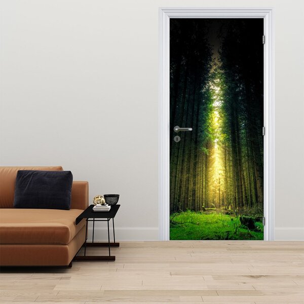 Fototapeta na dveře - Temný les (95x205cm)