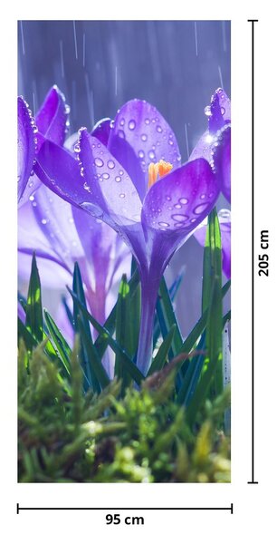 Fototapeta na dveře - Květiny v dešti (95x205cm)
