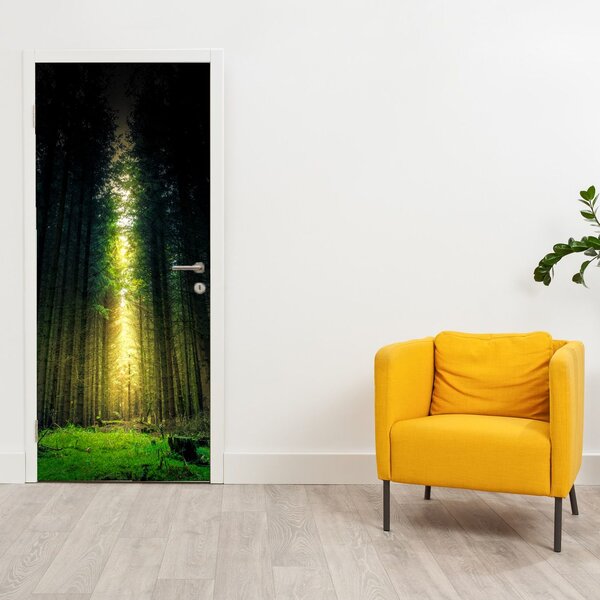 Fototapeta na dveře - Temný les (95x205cm)
