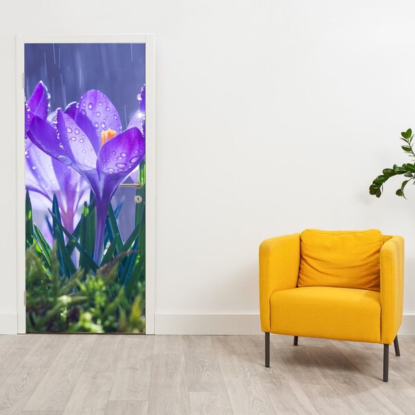 Fototapeta na dveře - Květiny v dešti (95x205cm)