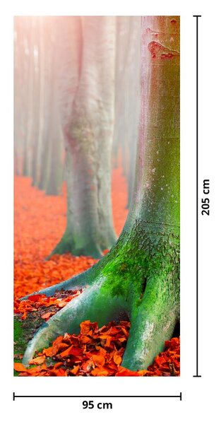 Fototapeta na dveře - Stromy (95x205cm)