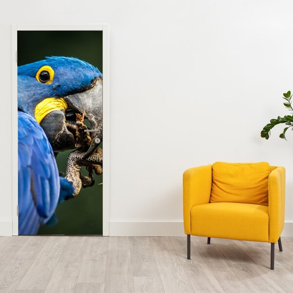 Fototapeta na dveře - Papoušek (95x205cm)