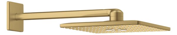 Grohe Rainshower hlavová sprchá s ramenem 31x31 cm čtvercový Brushed Cool Sunrise 26479GN0