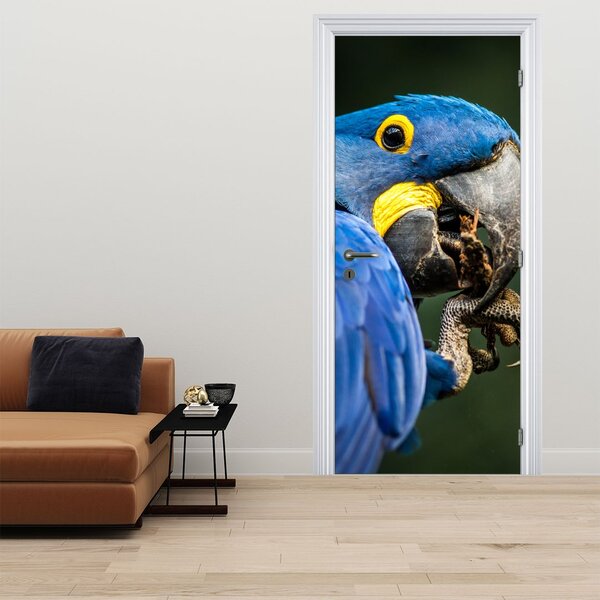 Fototapeta na dveře - Papoušek (95x205cm)