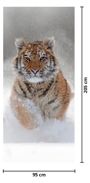 Fototapeta na dveře - Běžící tygr ve sněhu (95x205cm)