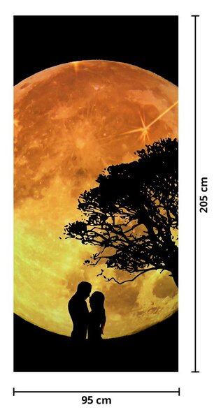Fototapeta na dveře - Stíny v měsíčním světle (95x205cm)