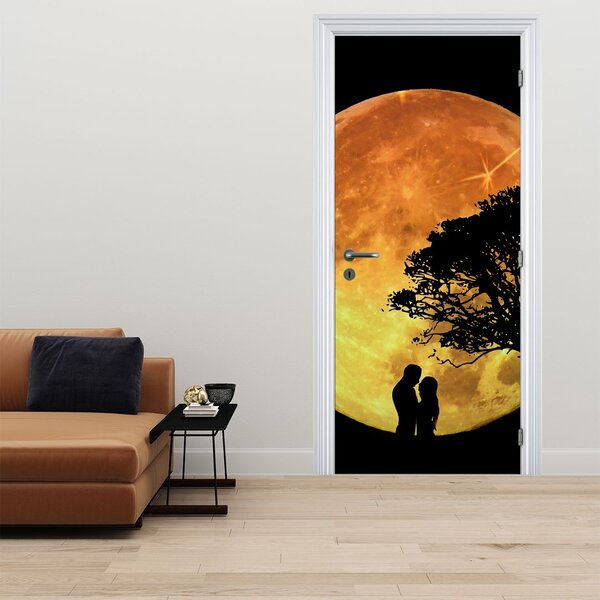 Fototapeta na dveře - Stíny v měsíčním světle (95x205cm)