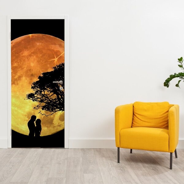Fototapeta na dveře - Stíny v měsíčním světle (95x205cm)