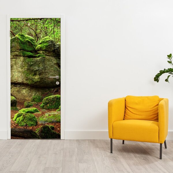 Fototapeta na dveře - Kouzelný les (95x205cm)