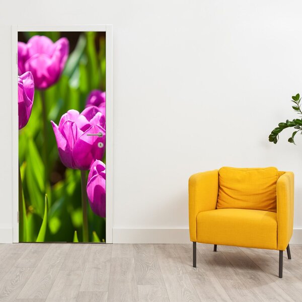 Fototapeta na dveře - Tulipány na louce (95x205cm)