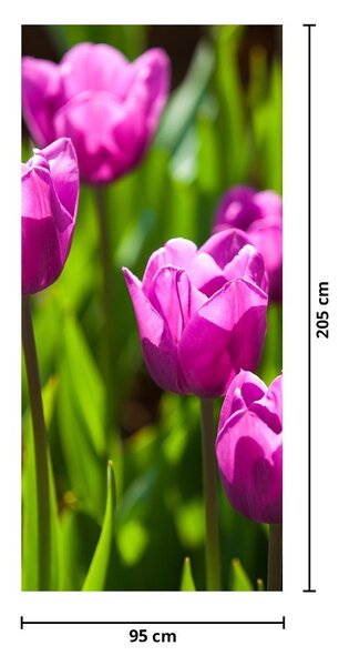 Fototapeta na dveře - Tulipány na louce (95x205cm)