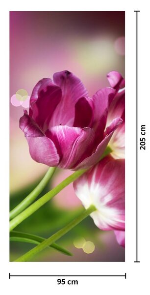 Fototapeta na dveře - Růžové tulipány (95x205cm)
