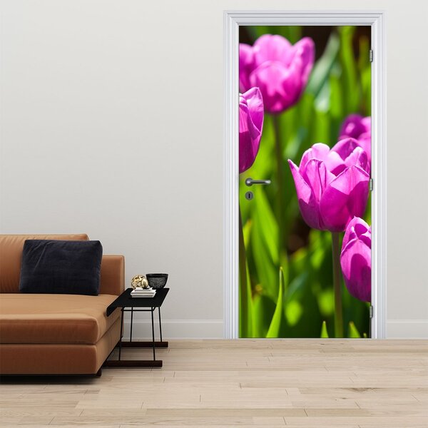 Fototapeta na dveře - Tulipány na louce (95x205cm)