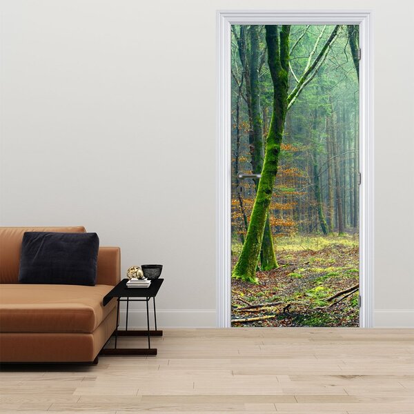 Fototapeta na dveře - Les (95x205cm)