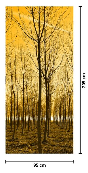 Fototapeta na dveře - Les při západu slunce (95x205cm)