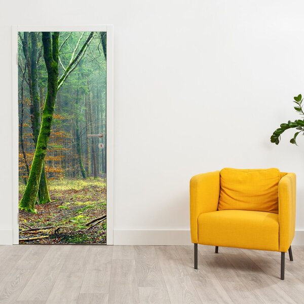 Fototapeta na dveře - Les (95x205cm)