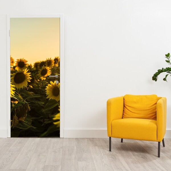 Fototapeta na dveře - Slunečnicové pole (95x205cm)