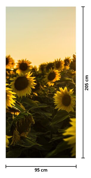 Fototapeta na dveře - Slunečnicové pole (95x205cm)