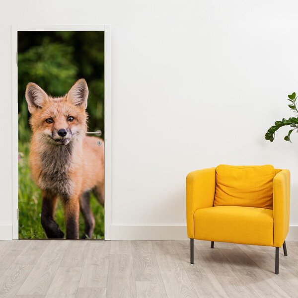Fototapeta na dveře - Liška (95x205cm)