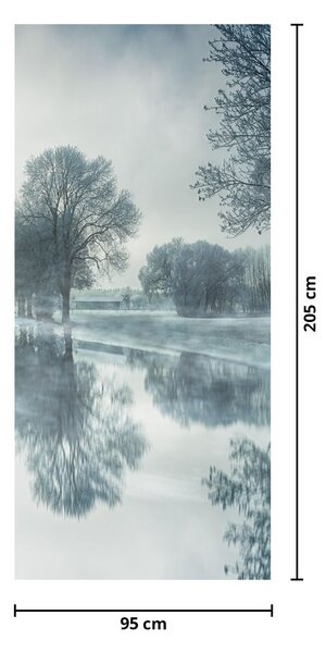 Fototapeta na dveře - Zimní příroda (95x205cm)