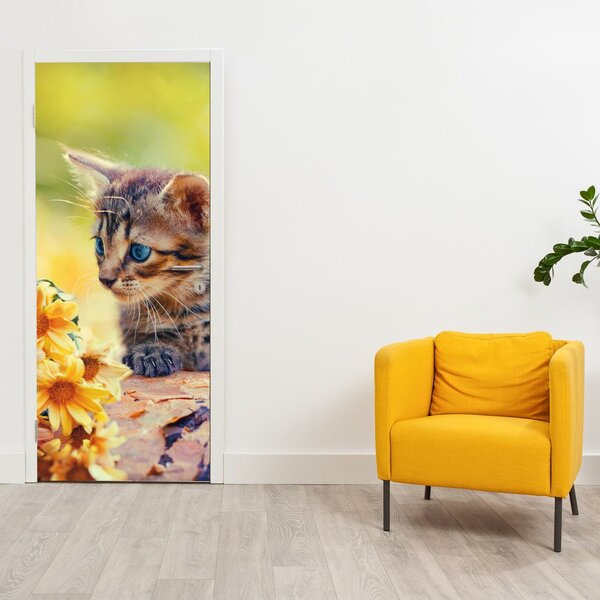 Fototapeta na dveře - Koťátko dívající se na květinu (95x205cm)