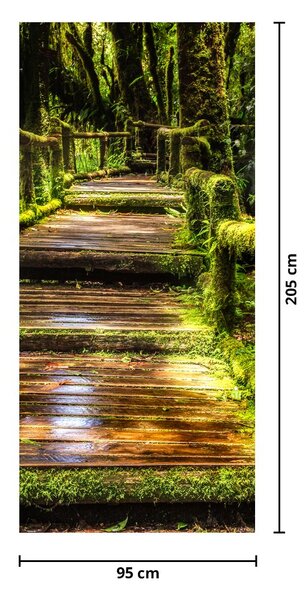 Fototapeta na dveře - Schody v deštném pralese (95x205cm)