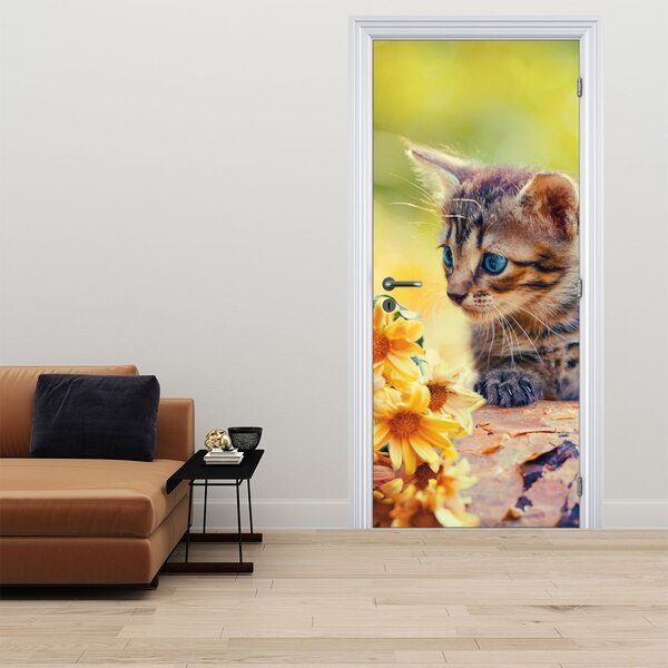 Fototapeta na dveře - Koťátko dívající se na květinu (95x205cm)