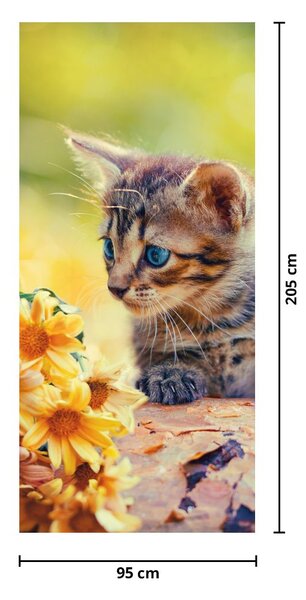 Fototapeta na dveře - Koťátko dívající se na květinu (95x205cm)