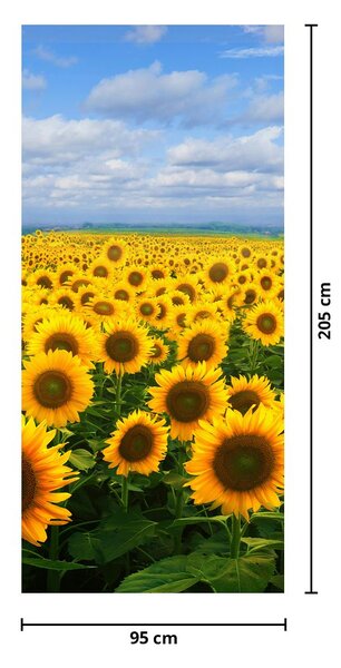 Fototapeta na dveře - Slunečnicové pole (95x205cm)