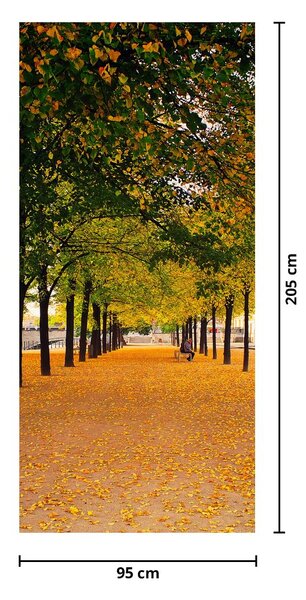 Fototapeta na dveře - Aleje podzimních stromů (95x205cm)