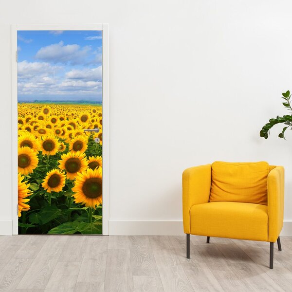 Fototapeta na dveře - Slunečnicové pole (95x205cm)