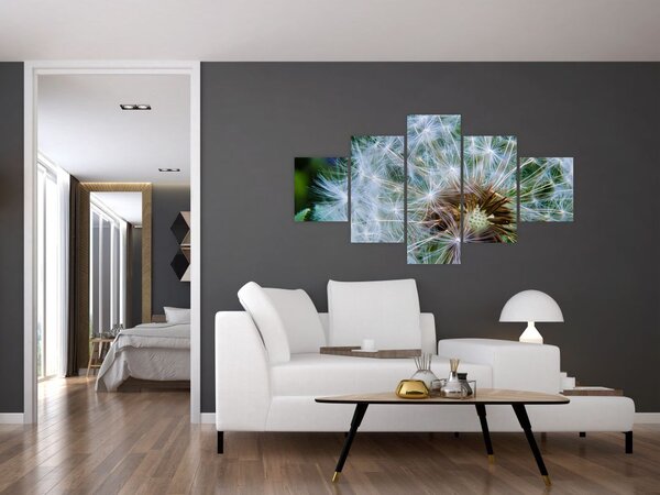 Obraz odkvetlé pampelišky (125x70 cm)