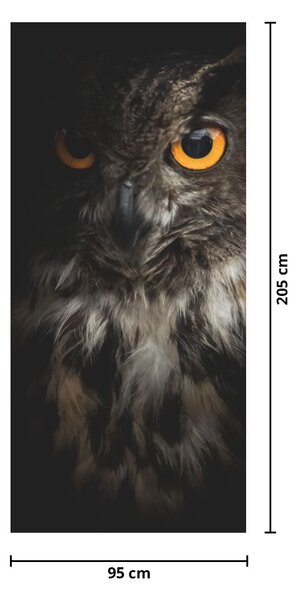 Fototapeta na dveře - Sova (95x205cm)