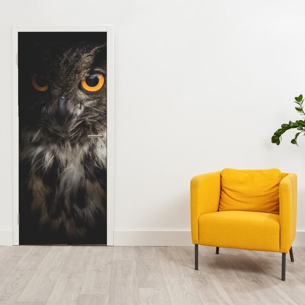 Fototapeta na dveře - Sova (95x205cm)