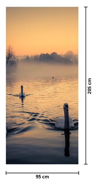 Fototapeta na dveře - Labutě na vodě v mlze (95x205cm)