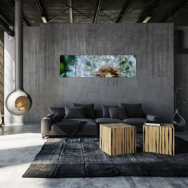 Obraz odkvetlé pampelišky (170x50 cm)