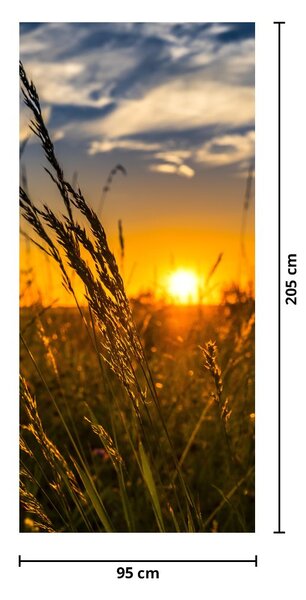 Fototapeta na dveře - Pole při západu slunce (95x205cm)