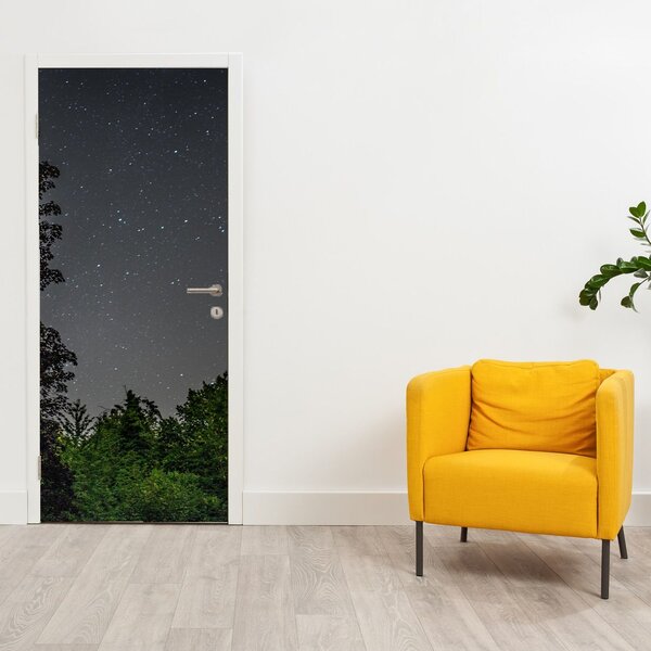 Fototapeta na dveře - Noční obloha (95x205cm)