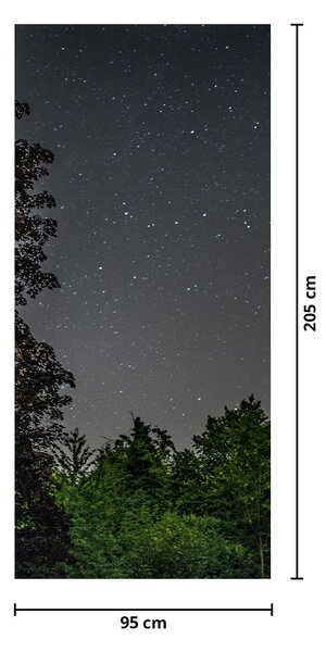 Fototapeta na dveře - Noční obloha (95x205cm)