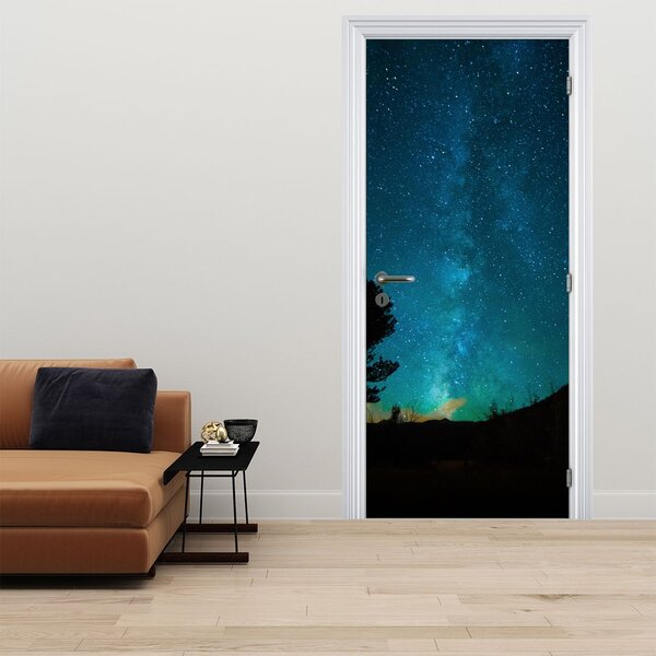Fototapeta na dveře - Noční obloha s hvězdami (95x205cm)