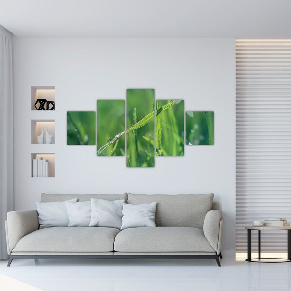 Obraz kapek rosy (125x70 cm)
