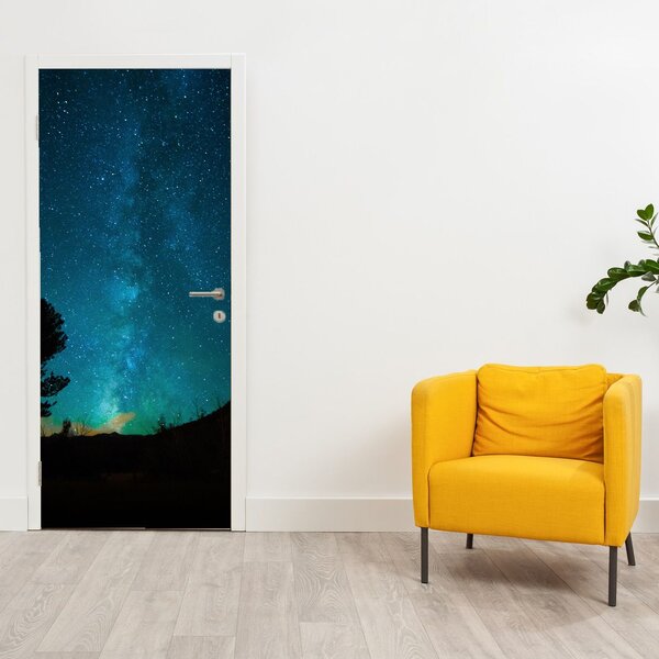 Fototapeta na dveře - Noční obloha s hvězdami (95x205cm)