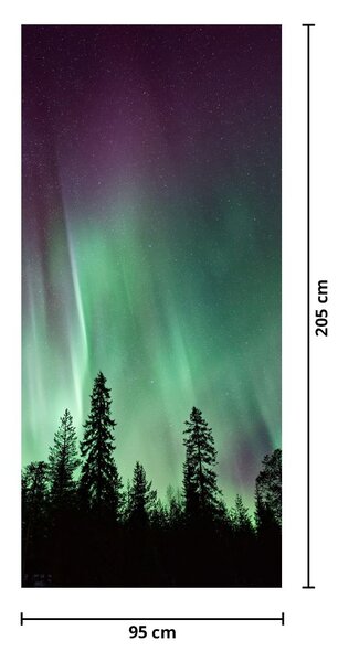 Fototapeta na dveře - Polární záře (95x205cm)