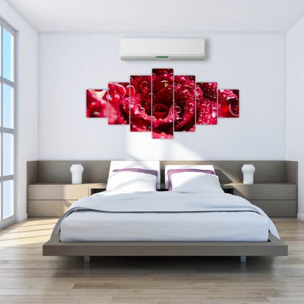 Obraz květu červené růže (210x100 cm)