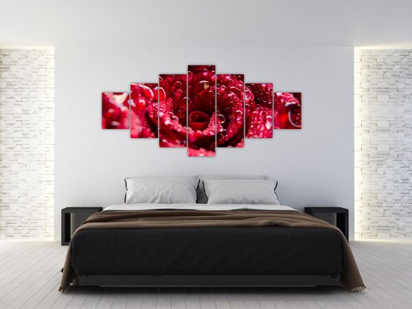 Obraz květu červené růže (210x100 cm)