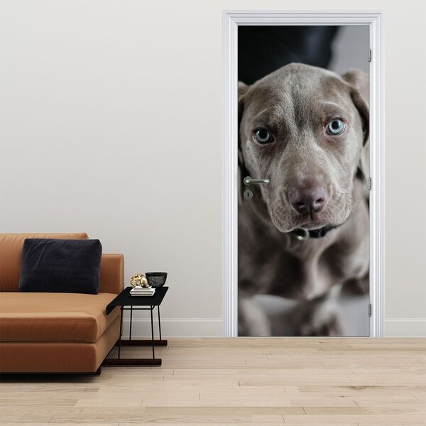 Fototapeta na dveře - Štěně (95x205cm)