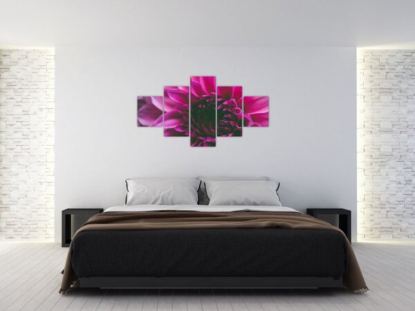 Obraz růžového květu (125x70 cm)